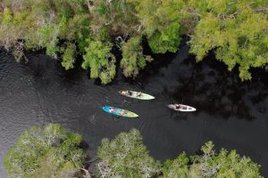 Stingrays & Everglades Kayak Tour - Private Guided
