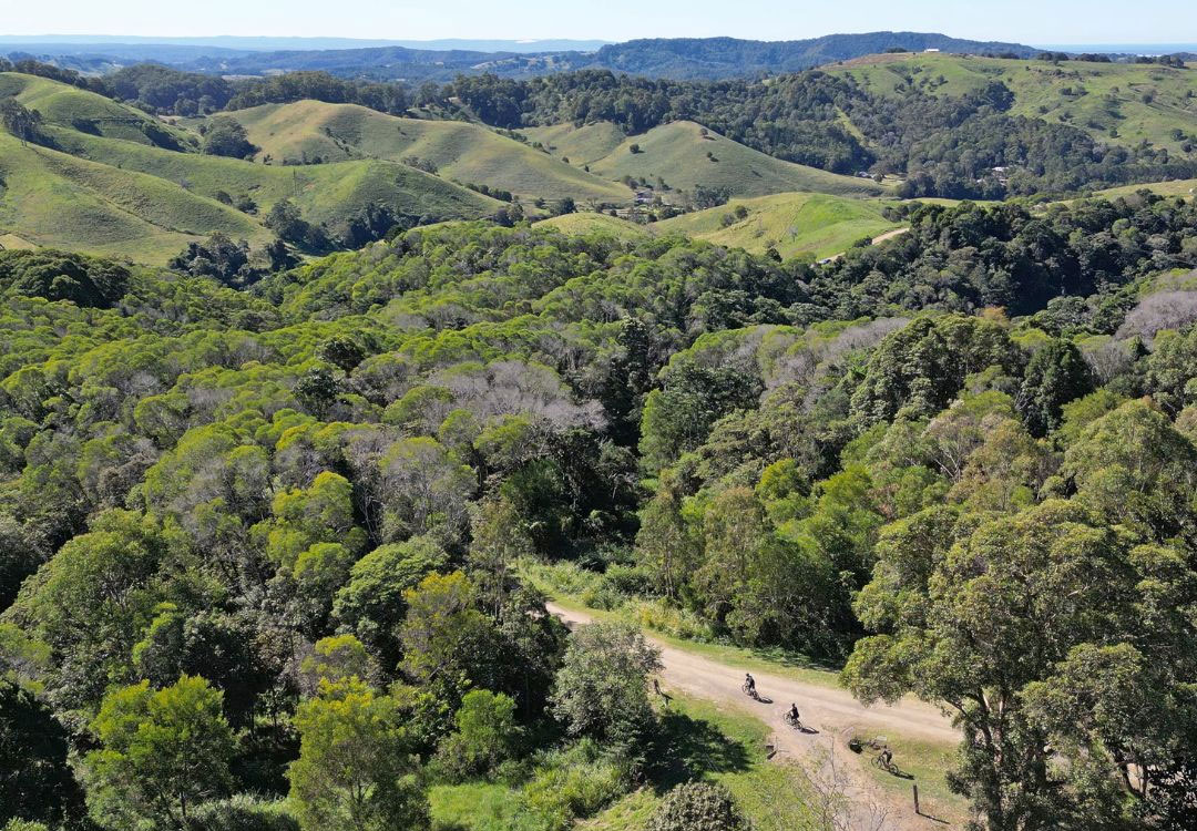 Noosa-Biosphere-Trails-Guided-eMountain-Bike-Tour-7