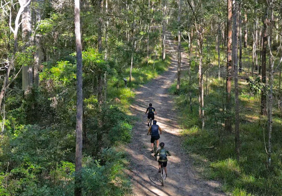 Noosa-Biosphere-Trails-Guided-eMountain-Bike-Tour-9