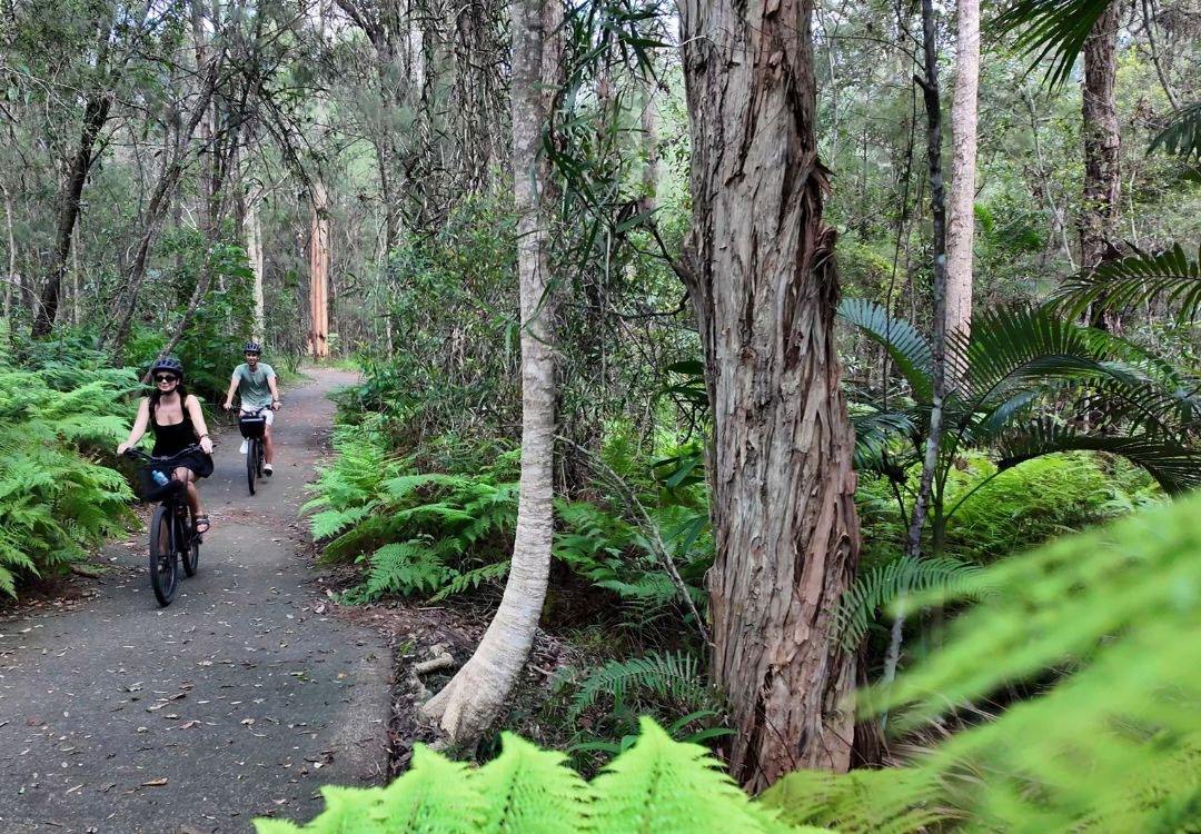 Noosa-E-Bike-Tour-15