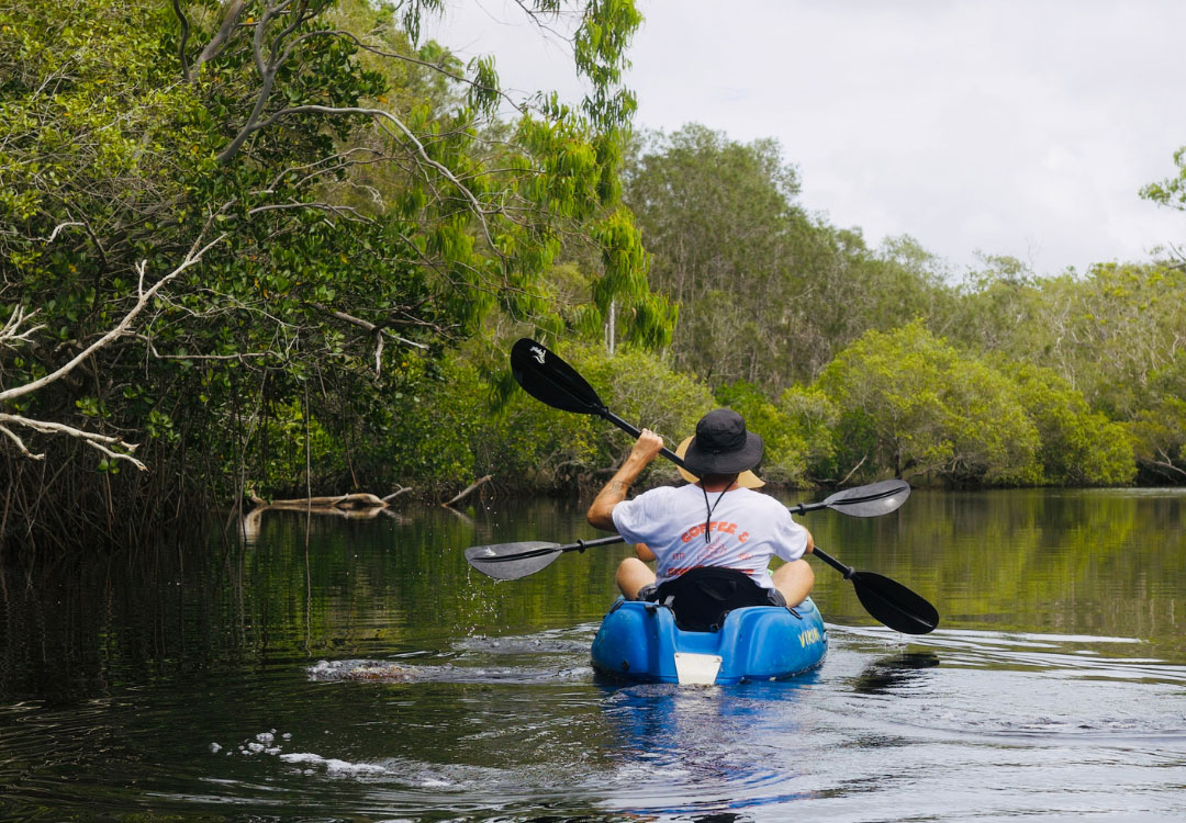 Noosa-Stingrays-&-Everglades-Guided-Kayak-Tour-8