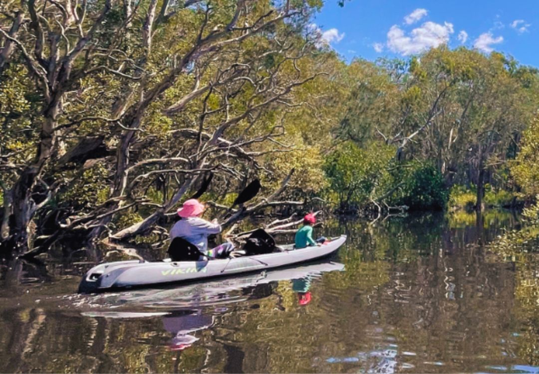 Noosa-Stingrays-&-Everglades-self-Guided-Kayak-Tour 5