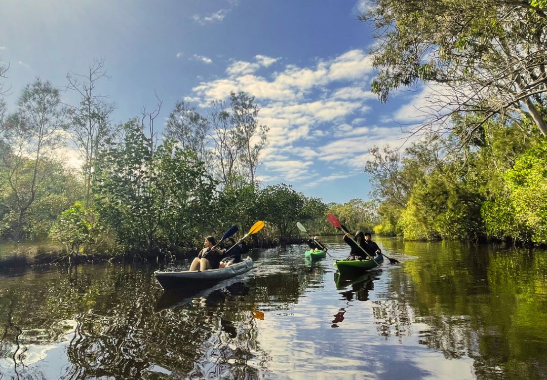 Noosa-Stingrays-&-Everglades-self-Guided-Kayak-Tour 2
