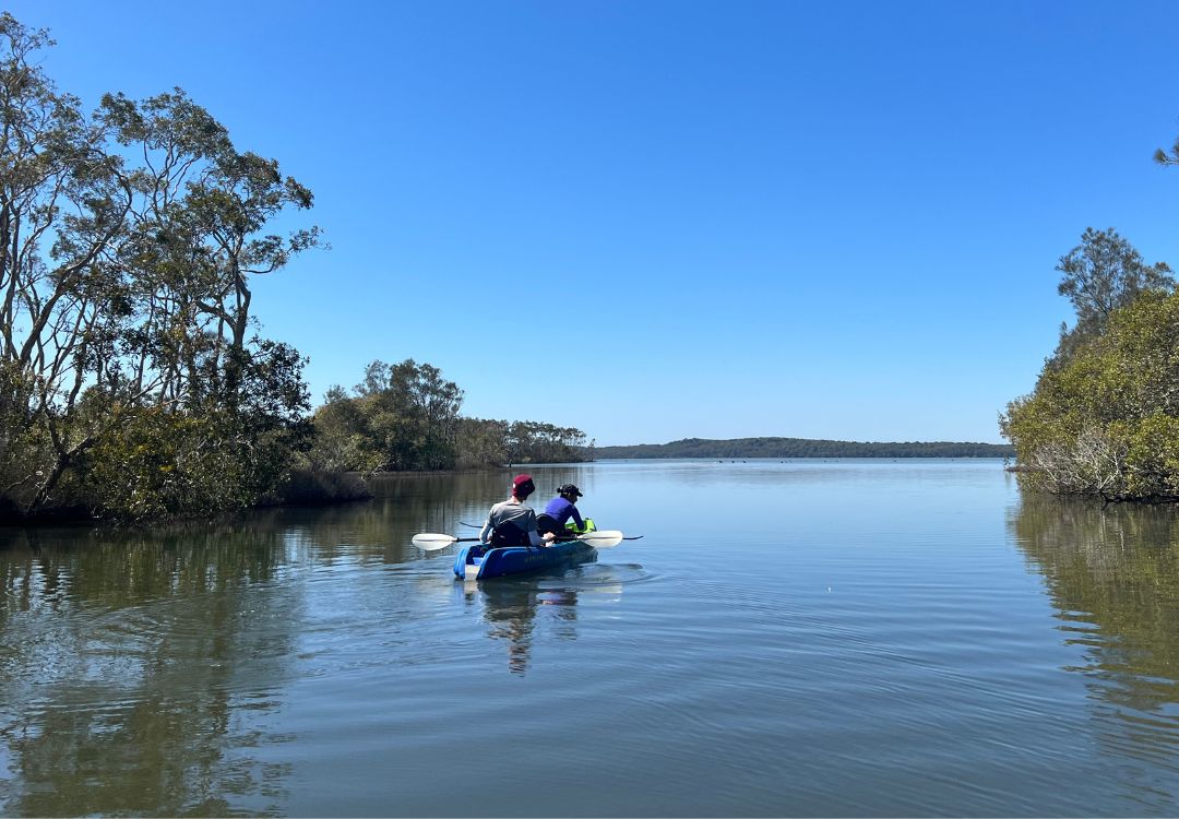 Noosa-Stingrays-&-Everglades-self-Guided-Kayak-Tour