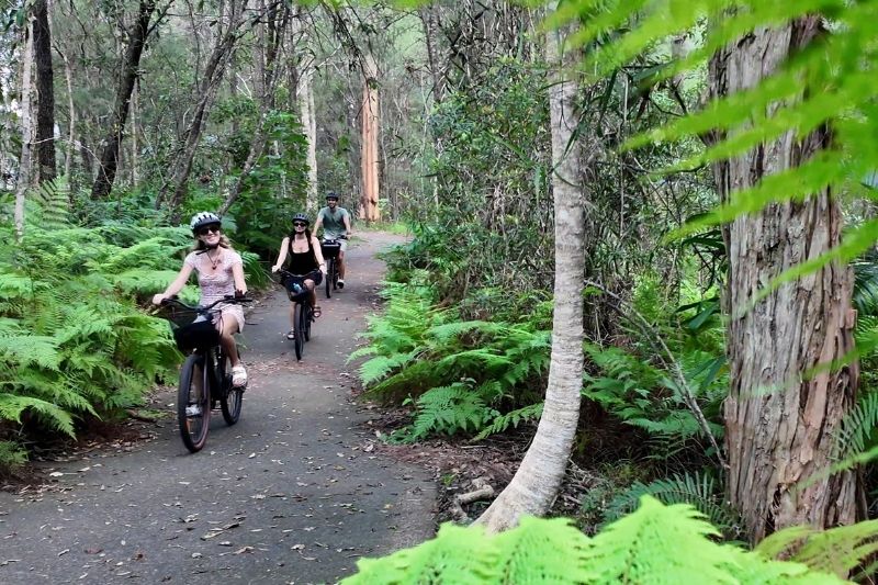 Riders on path in Noosa rainforest