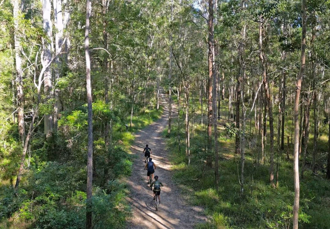 By Earth and Ocean Bike Tours in Noosa Hinterland for group tours