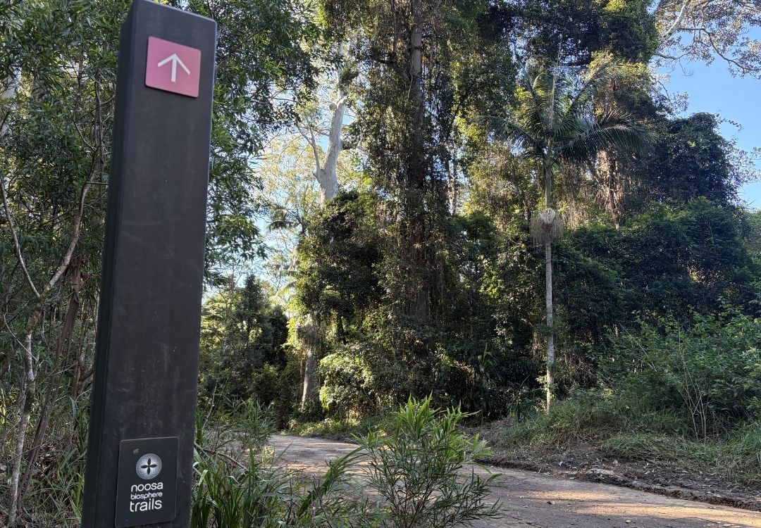 Noosa trail network rides. Noosa trail sign marker
