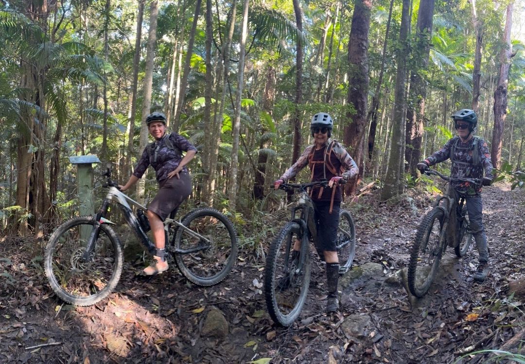 Noosa Gravel and MTB rides. Riders in lush dense tropical forest