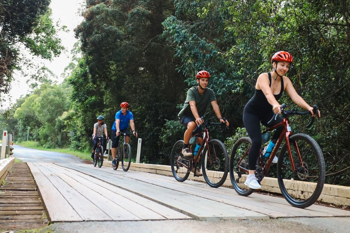 Cyclists riding through subtropical forest on a Noosa gravel route