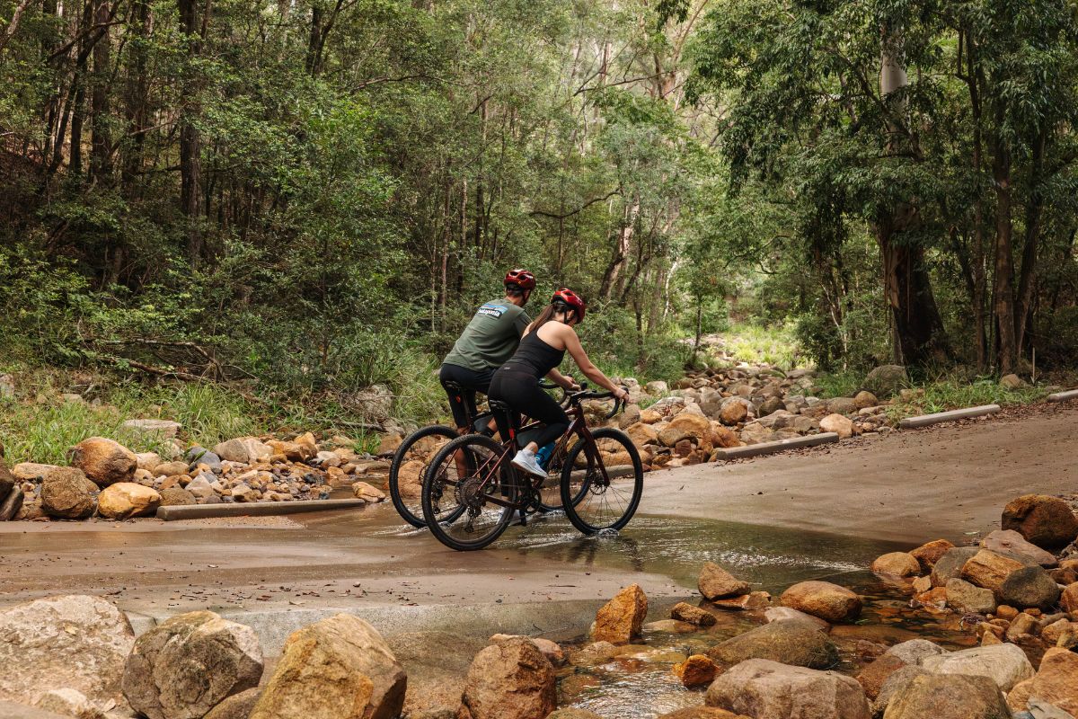 Gravel bike rider enjoying rainforest and creek crossings in the hinterland