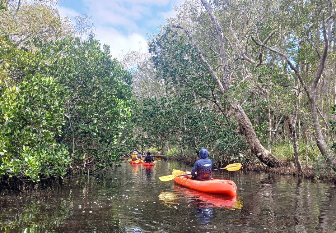 Kayak-Tours-By-Earth-&-Ocean-6