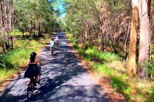 Mt Tinbeerwah Ride