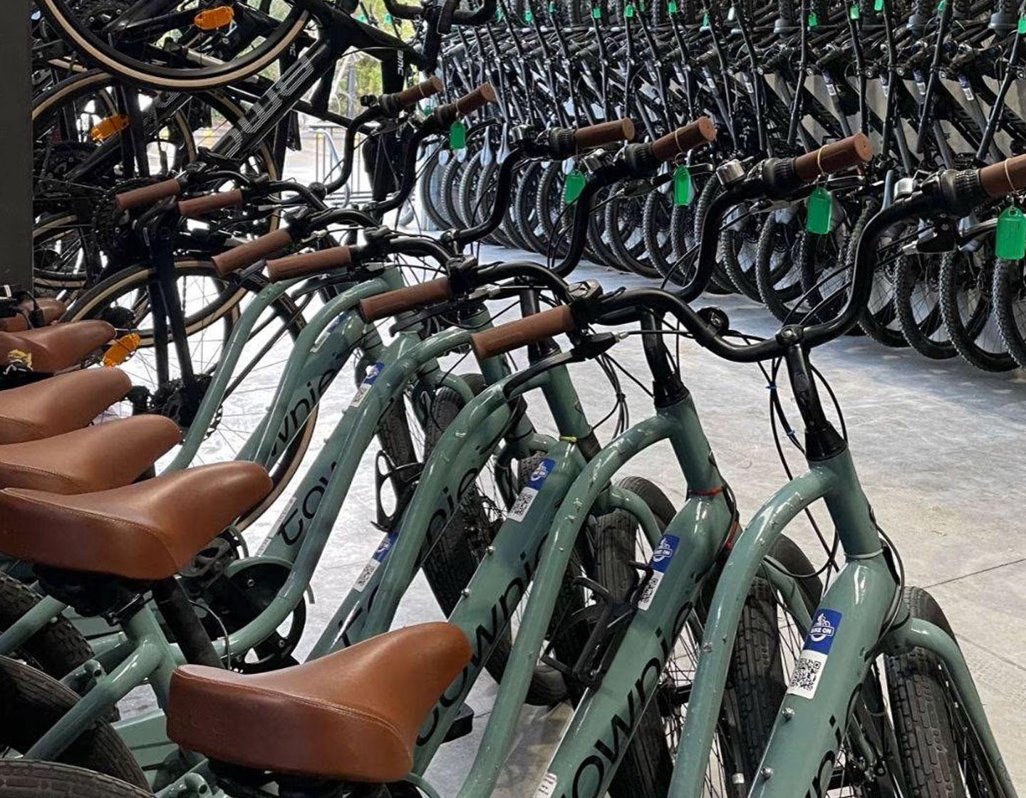 Bike riding with Bike On in the Noosa region