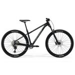 Premium Hardtail