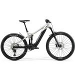 Standard eMTB