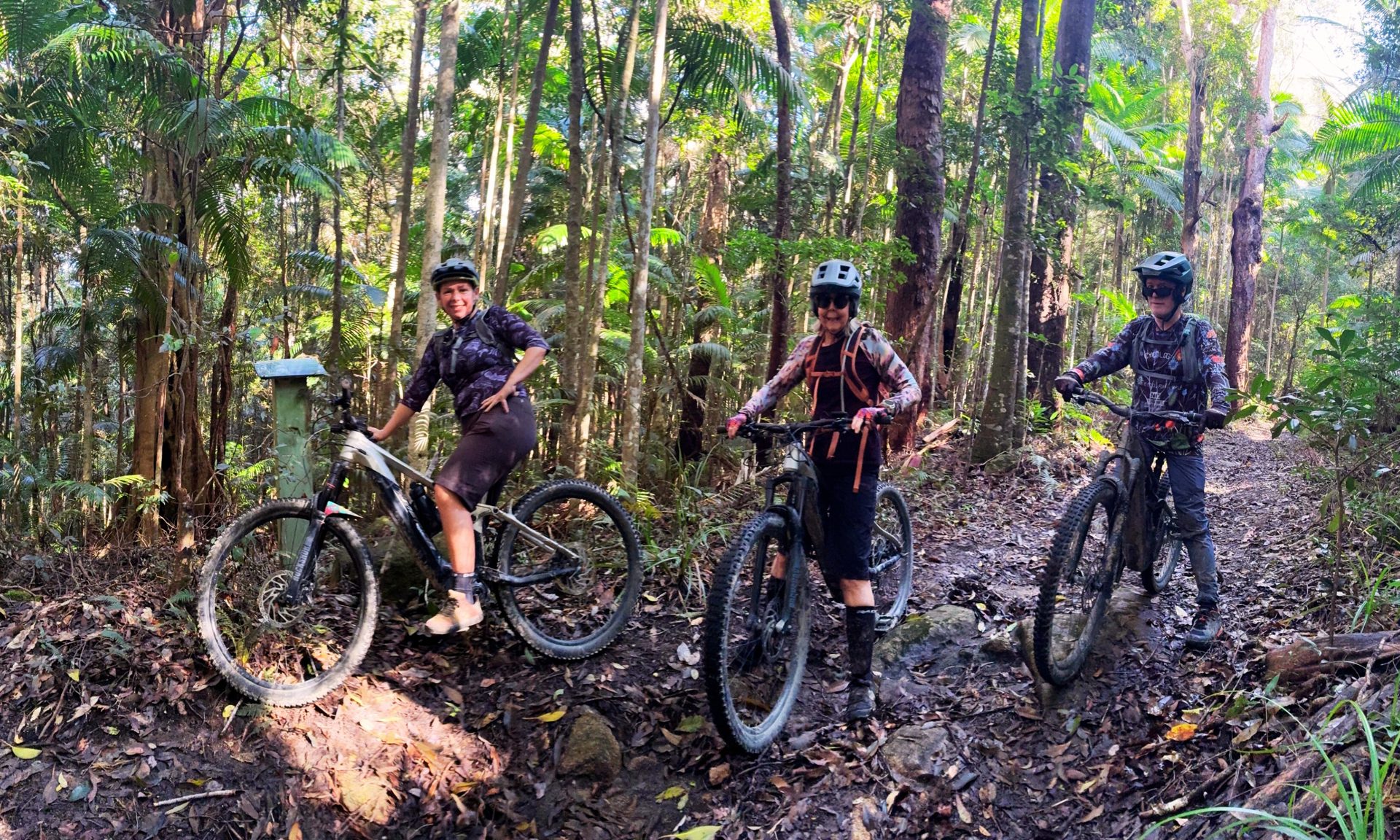 Three mountain bikers at a trail marker in piccabeen palm rainforest