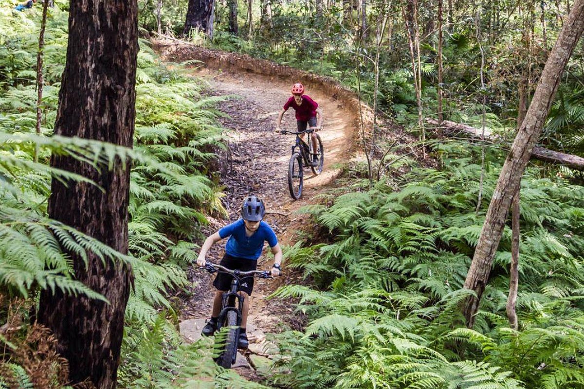 Two young mountain bikers descending a bermed trail through a green fern forest at Wooroi, Tewantin National Park