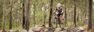 Mountain Bike Coaching