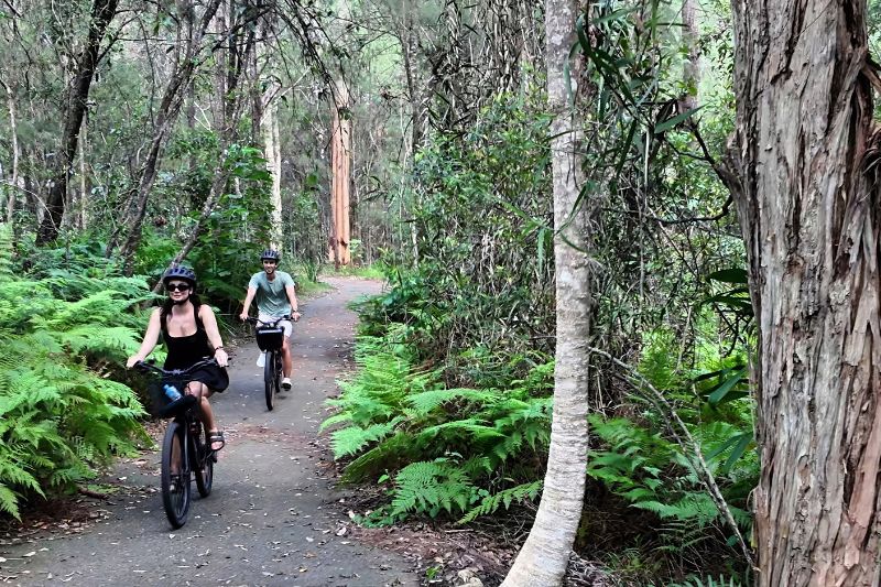 Couple on a private Summit to Sea e-Bike tour riding a sealed path through ferns in Tewantin National Park, Noosa